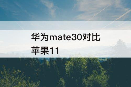 华为mate30对比苹果11