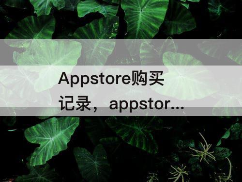 Appstore购买记录，appstore购买记录待处理怎么把钱结了