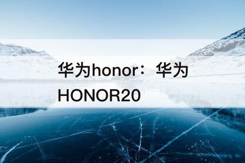 华为honor：华为HONOR20