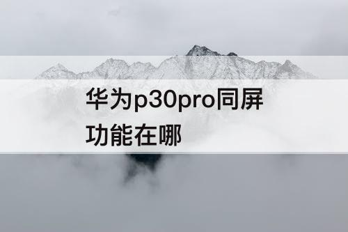 华为p30pro同屏功能在哪