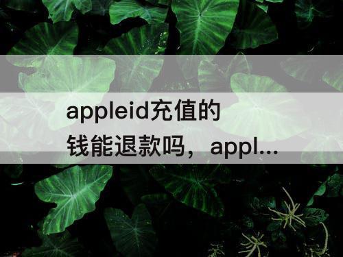 appleid充值的钱能退款吗，appleid充值的钱能退款吗15.2