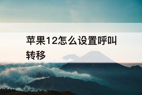 苹果12怎么设置呼叫转移