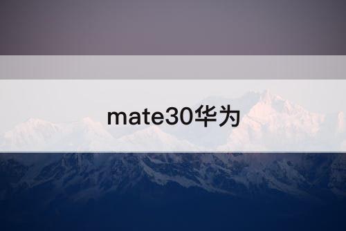 mate30华为