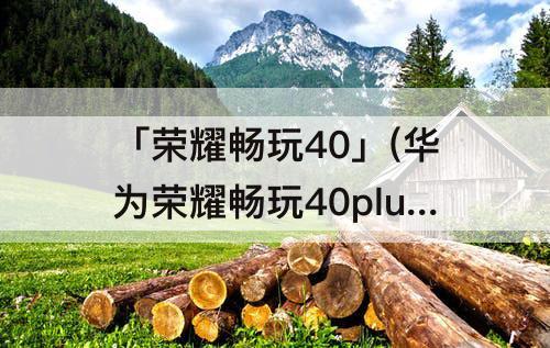 「荣耀畅玩40」(华为荣耀畅玩40plus图片)