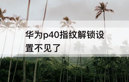 华为p40指纹解锁设置不见了