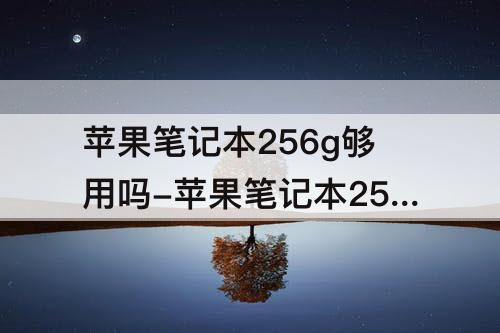 苹果笔记本256g够用吗-苹果笔记本256g够用吗办公