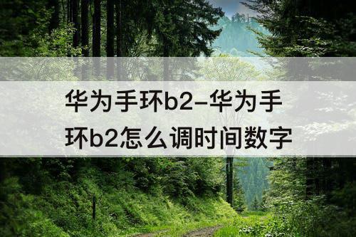 华为手环b2-华为手环b2怎么调时间数字