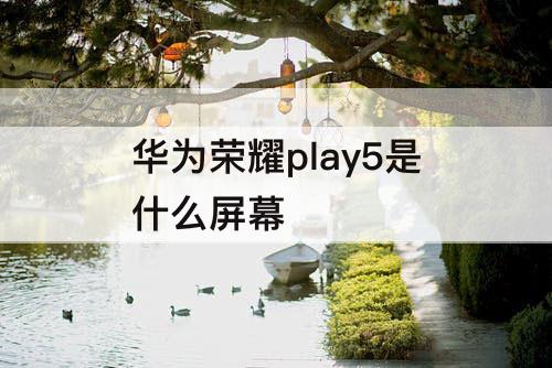 华为荣耀play5是什么屏幕