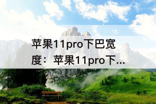 苹果11pro下巴宽度：苹果11pro下巴宽度几毫米