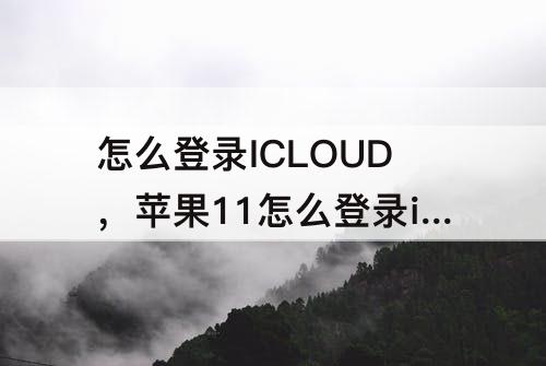 怎么登录ICLOUD，苹果11怎么登录icloud id