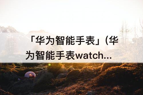 「华为智能手表」(华为智能手表watch3功能)