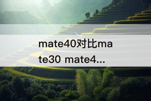 mate40对比mate30 mate40对比mate30epro