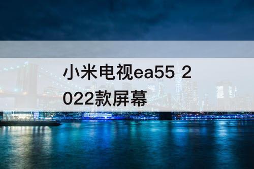 小米电视ea55 2022款屏幕