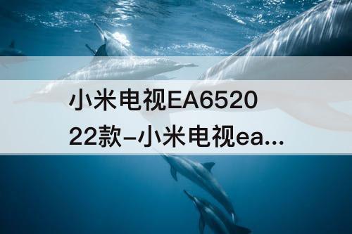 小米电视EA652022款-小米电视ea652022款怎么样