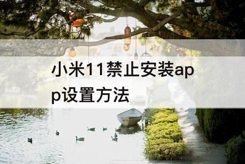 小米11禁止安装app设置方法