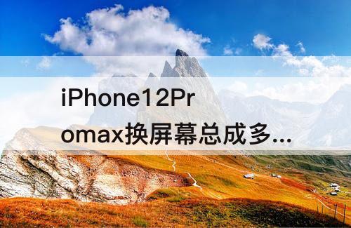 iPhone12Promax换屏幕总成多少钱