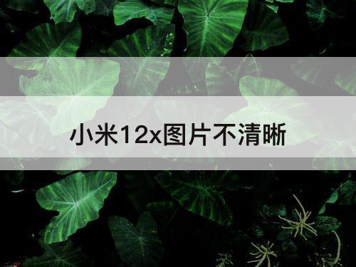 小米12x图片不清晰