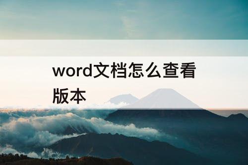 word文档怎么查看版本