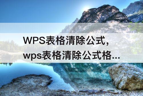 WPS表格清除公式，wps表格清除公式格式