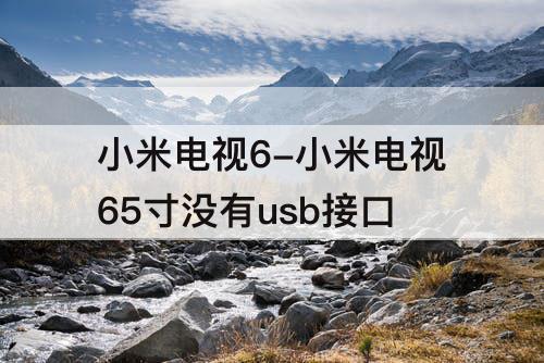 小米电视6-小米电视65寸没有usb接口