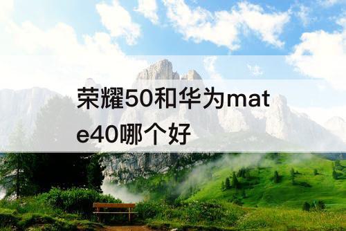 荣耀50和华为mate40哪个好