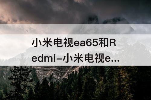 小米电视ea65和Redmi-小米电视ea65和redmix65