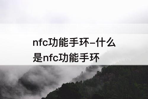 nfc功能手环-什么是nfc功能手环