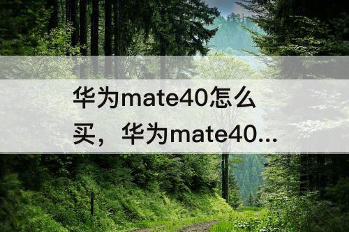 华为mate40怎么买，华为mate40怎么买便宜