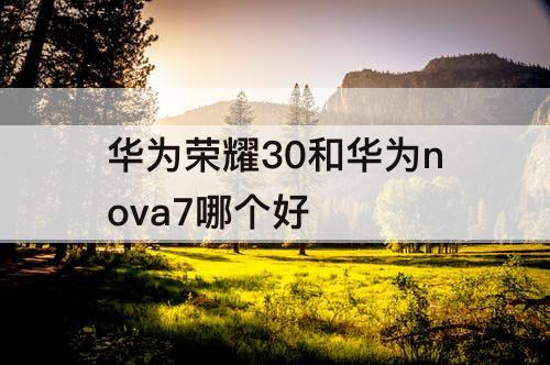 华为荣耀30和华为nova7哪个好