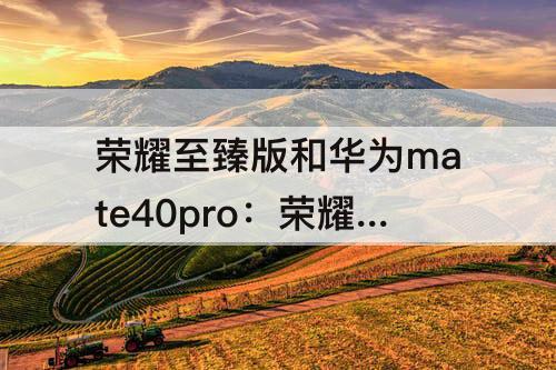 荣耀至臻版和华为mate40pro：荣耀至臻版和华为mate40pro拍照