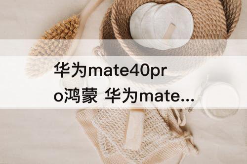 华为mate40pro鸿蒙 华为mate40pro鸿蒙安装谷歌框架