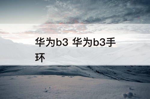 华为b3 华为b3手环