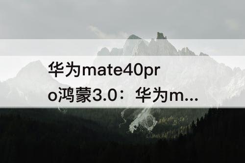 华为mate40pro鸿蒙3.0：华为mate40pro鸿蒙3.0怎么升级