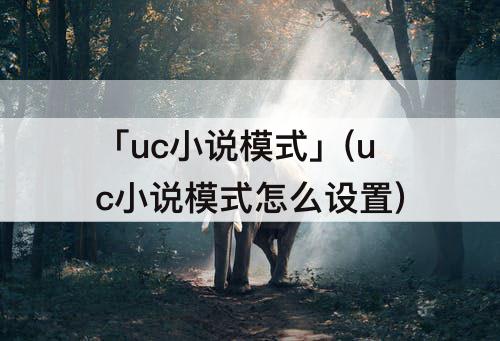 「uc小说模式」(uc小说模式怎么设置)