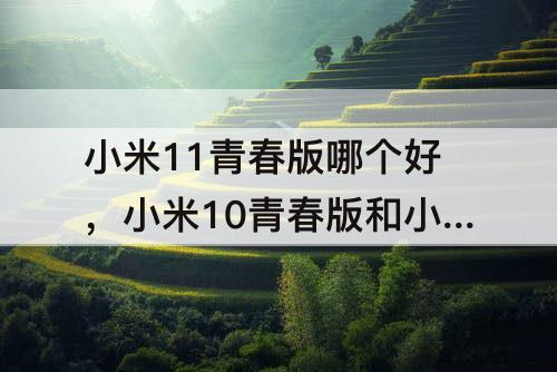 小米11青春版哪个好，小米10青春版和小米11青春版哪个好