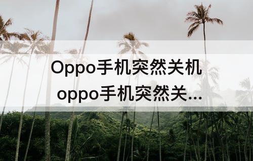 Oppo手机突然关机 oppo手机突然关机打不开怎么回事