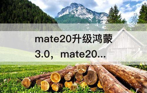 mate20升级鸿蒙3.0，mate20升级鸿蒙3.0方法