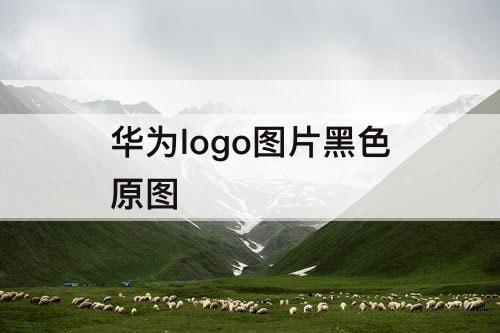 华为logo图片黑色原图