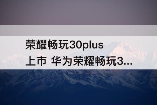 荣耀畅玩30plus上市 华为荣耀畅玩30plus上市价格