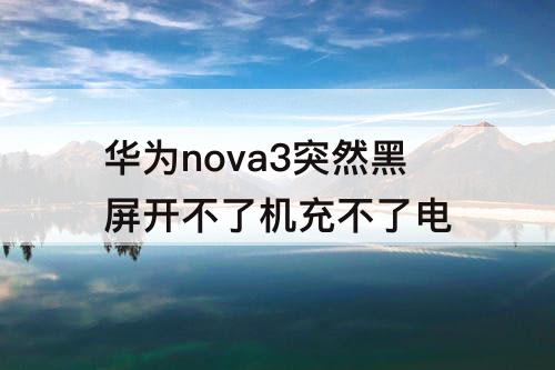 华为nova3突然黑屏开不了机充不了电