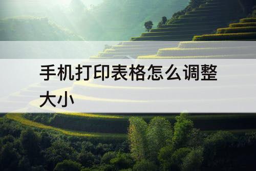 手机打印表格怎么调整大小