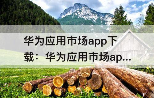 华为应用市场app下载：华为应用市场app下载安装包