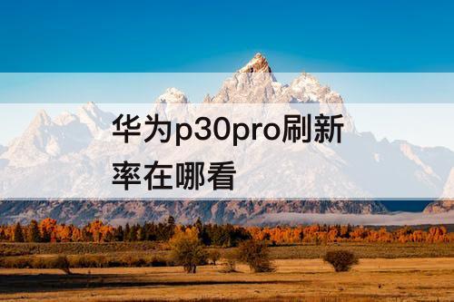 华为p30pro刷新率在哪看