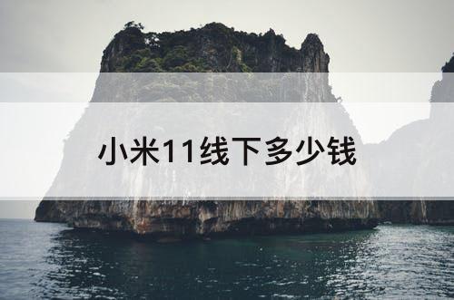 小米11线下多少钱