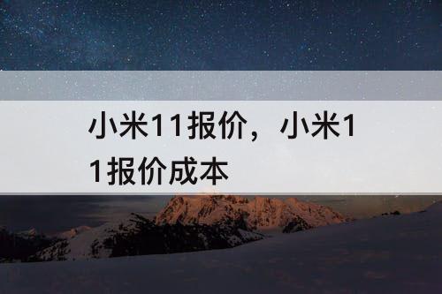 小米11报价，小米11报价成本