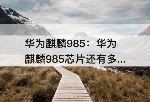 华为麒麟985：华为麒麟985芯片还有多少