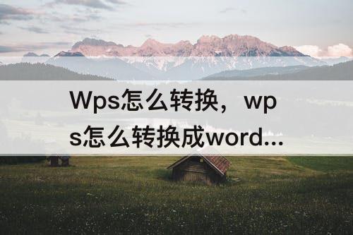 Wps怎么转换，wps怎么转换成word文档