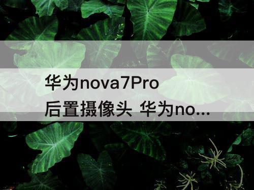 华为nova7Pro后置摄像头 华为nova7pro后置摄像头拍照不清