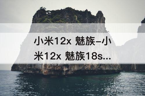 小米12x 魅族-小米12x 魅族18s 续航